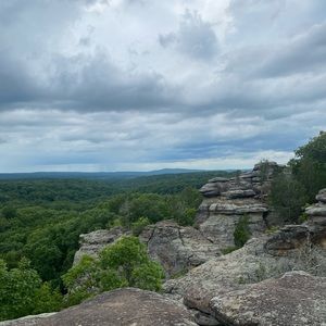 Meet your Posher, Allison :)